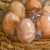 Şeffaf Yumurta Viyolü 6'lı ( 600 Adet )